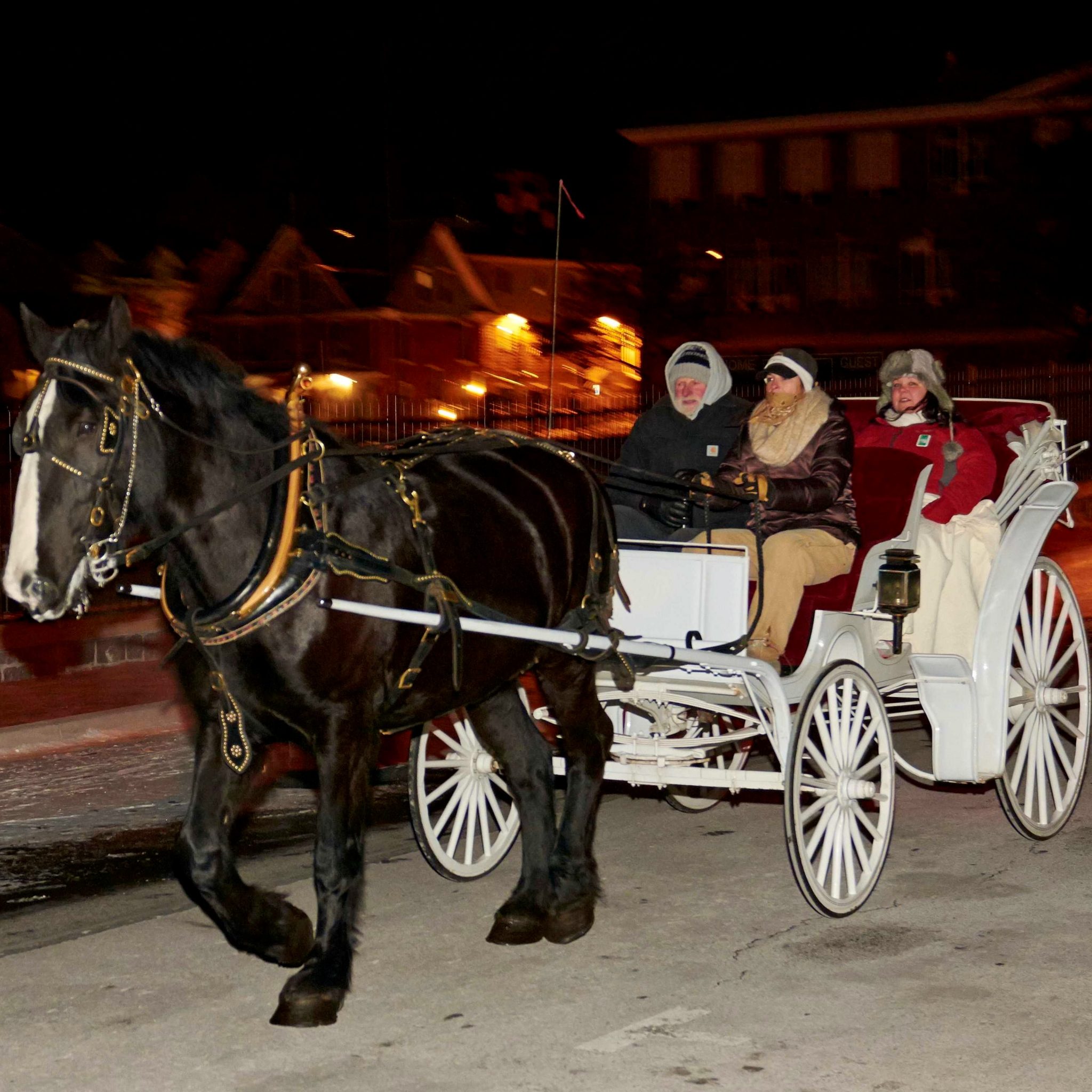 Join the Fun with a Variety of First Night Activities! - First Night ...